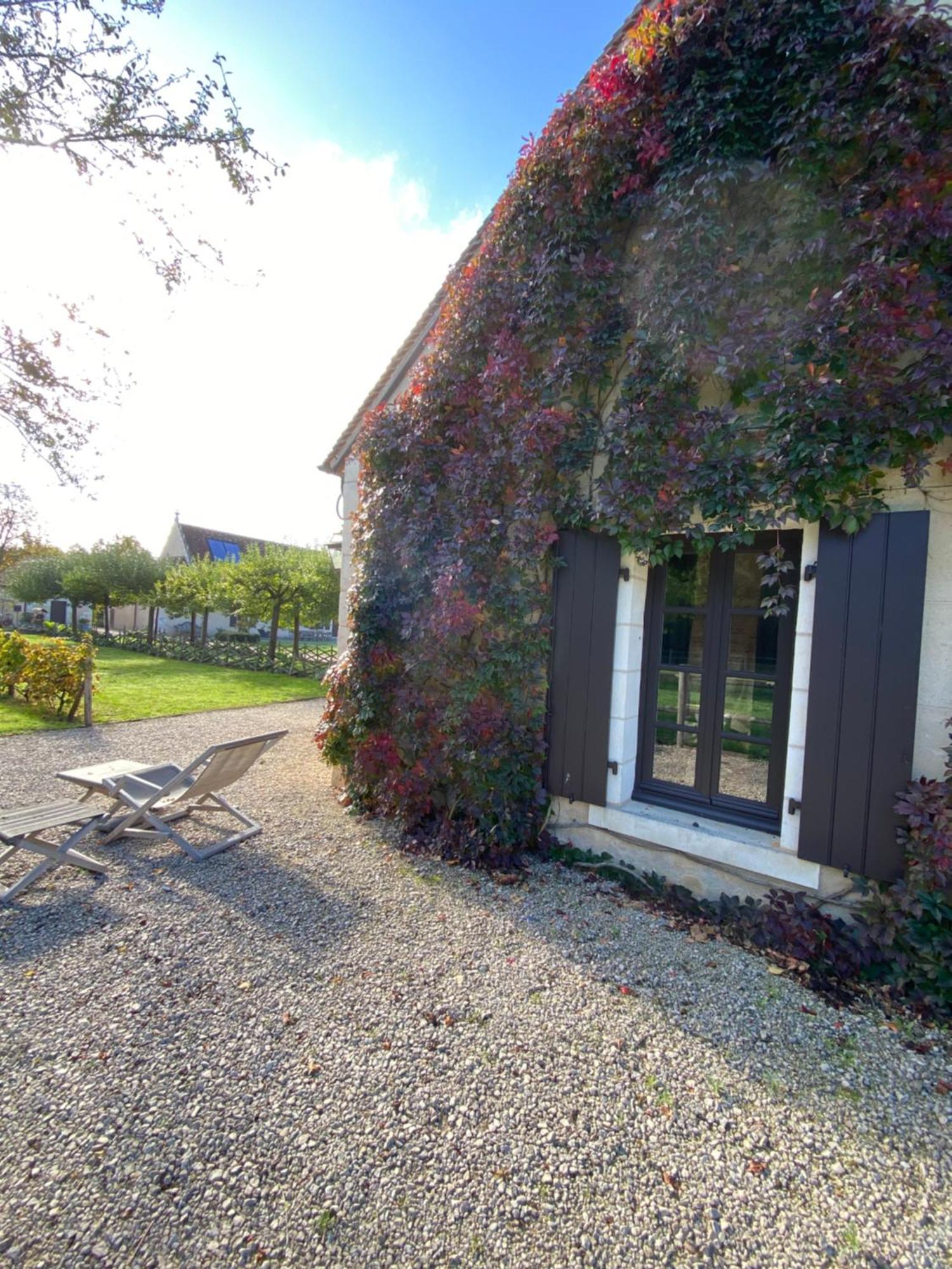 Domaine De Poulaines Pres Valencay Val De Loire Berry Villa Exterior photo